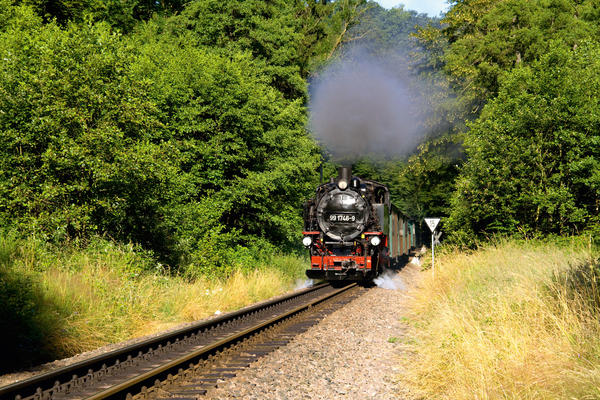 Blick auf die Lok und dahinterliegende Waggons der Wei�eritztalbahn, welche aus einem Waldst�ck gefahren kommt. Aus der Lok steigt Dampf auf. Im Vordergrund ist die Schiene sowie an deren Seiten gelbliche und gr�ne Gr�ser zusehen.