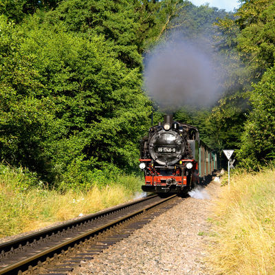 Blick auf die Lok und dahinterliegende Waggons der Wei&szlig;eritztalbahn, welche aus einem Waldst&uuml;ck gefahren kommt. Aus der Lok steigt Dampf auf. Im Vordergrund ist die Schiene sowie an deren Seiten gelbliche und gr&uuml;ne Gr&auml;ser zusehen.