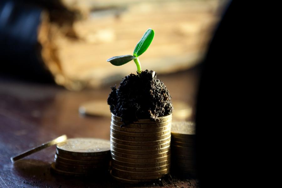 Geld kann man auch für nachhaltigen Wachstum investieren - wie zum Beispiel fürs Ehrenamt.