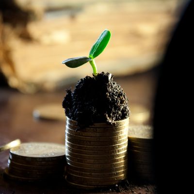 Geld kann man auch für nachhaltigen Wachstum investieren - wie zum Beispiel fürs Ehrenamt.