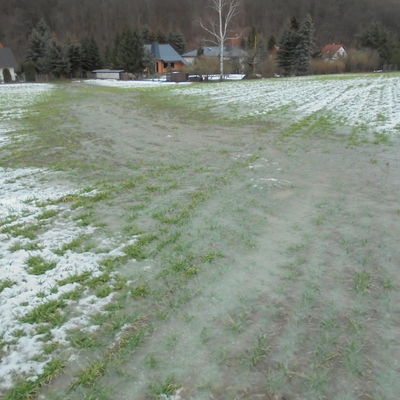 �berschwemmung am Poisenbach