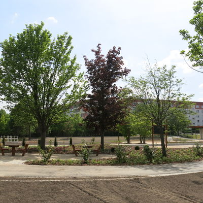 Mehrgenerationenpark Zauckerode nach der Sanierung