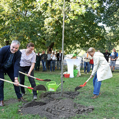 Oberbürgermeister Uwe Rumberg, Stefanie Wieland (Stadt Freital - Sachgebiet Grünflächen/Umwelt) und Dr. Susanne Brand (Umweltzentrum) (v.l.n.r.) beim Pflanzen des 100. Baumes