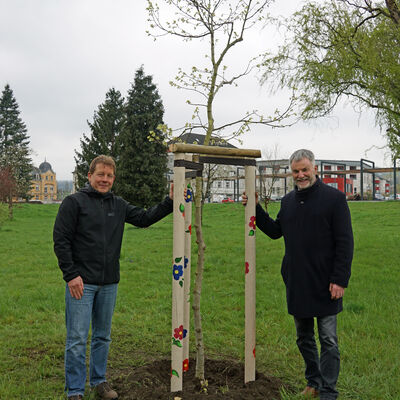 Nach getaner Arbeit: Tharandts Bürgermeister Silvio Ziesemer (l.) und Oberbürgermeister Uwe Rumberg am frisch gepflanzten Baum am Neumarkt. Foto: Stadt Freital