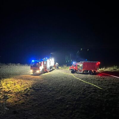 Die Freitaler Feuerwehr im Einsatz zur Bekämpfung der Waldbrände.