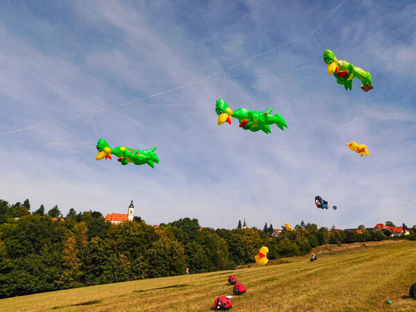 Pesterwitzer Drachenfest
