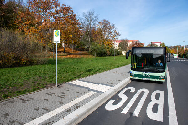 Bus