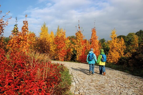 Forstbotanischer Garten Tharandt im Herbst