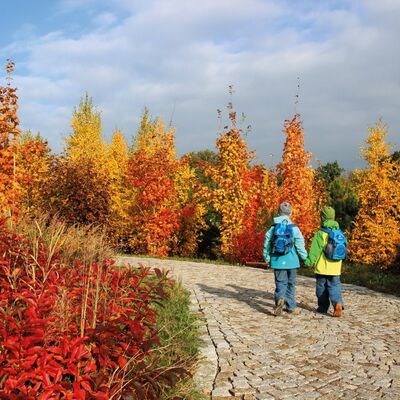 Forstbotanischer Garten Tharandt im Herbst