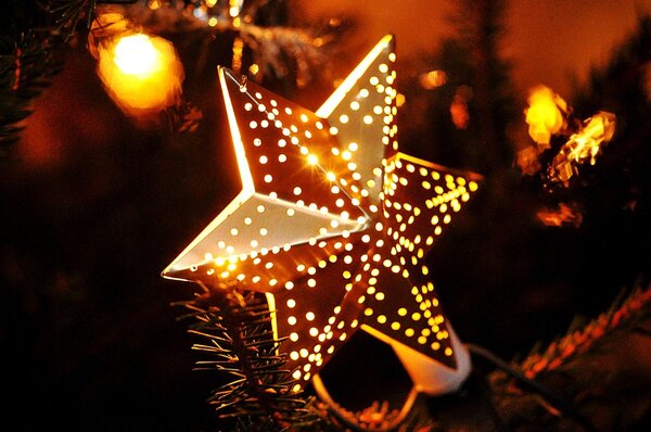 Weihnachtsstern
