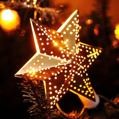 Weihnachtsstern