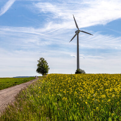 Windrad auf der Opitzh&ouml;he 