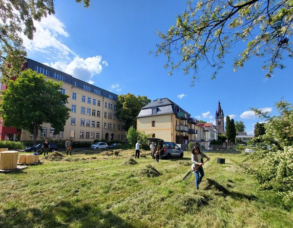 Arbeitseinsatz des Arbeitskreises 2025