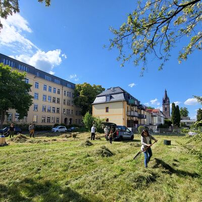 Arbeitseinsatz des Arbeitskreises 2025