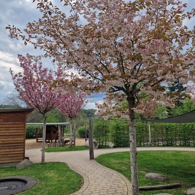 bl&uuml;hende B&auml;ume, gr&uuml;ner Rasen, ein Weg zum Spielplatz