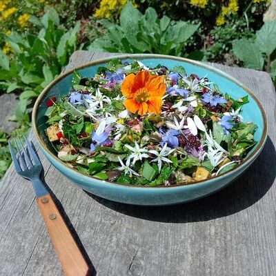Salat mit Wildpflanzen