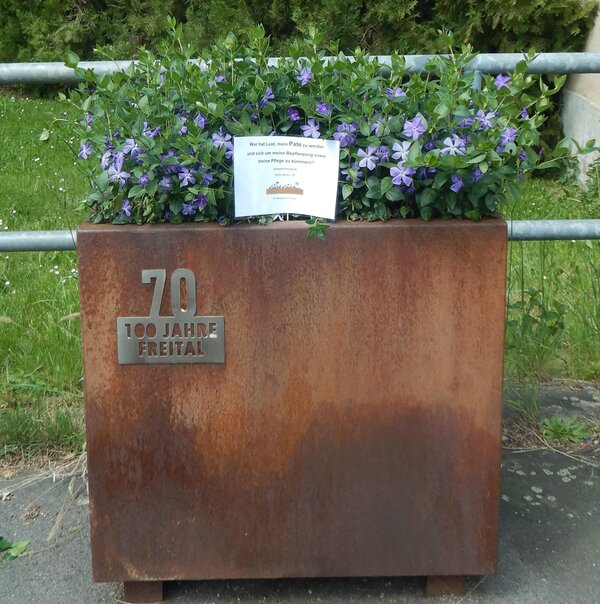 Pflanzoase Nummer 70