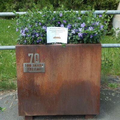 Pflanzoase Nummer 70                                                       