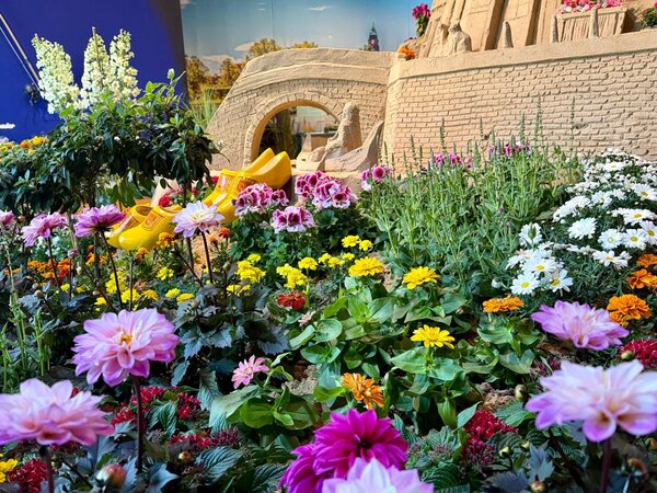 Bl�tenWunder Charity-Week_Pflanzenabverkauf f�r den guten Zweck ab 20. Mai