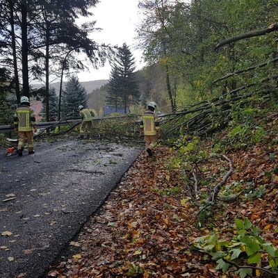 Einsatz Baumsturz auf der H�ckendorfer Stra�e