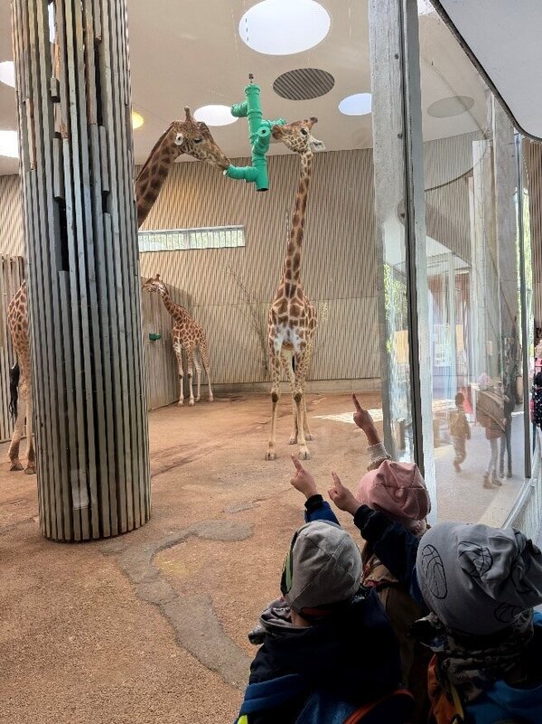 Kita-Ausflug in den Dresdner Zoo