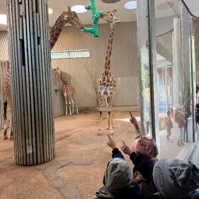 Kita-Ausflug in den Dresdner Zoo