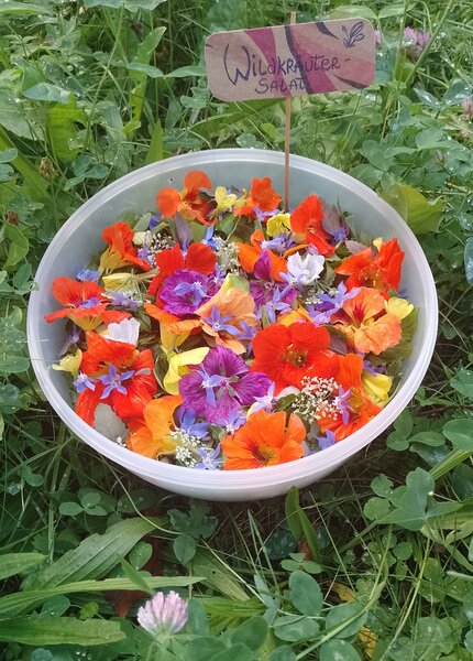 2025-08-29_Spätsommer-Salat