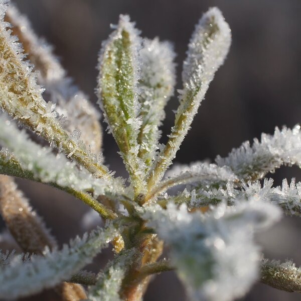 winter-01