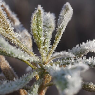 winter-01