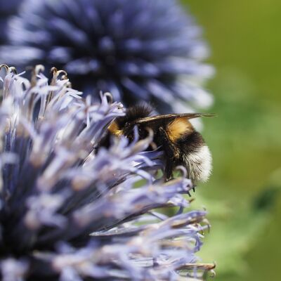 summer-08