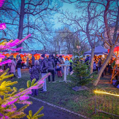 Beleuchteter Weihnachtsbaum und Weihnachtsmarkt am Abend
