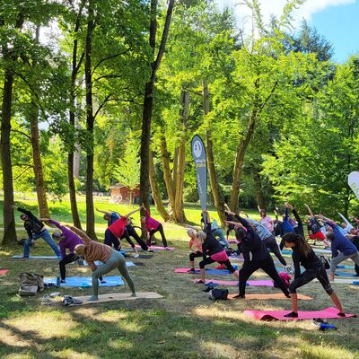 Es ist Sommer. In einem gro&szlig;en Park trainieren viele Menschen auf der Wiese gemeinsam Yoga auf Yogamatten. Im Hintergrund stehen hohe B&auml;ume und Beachflags.