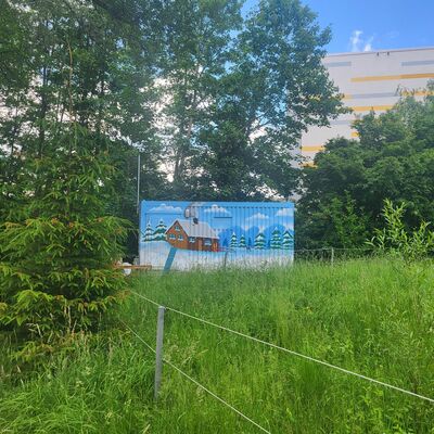 Auf einer Wiese mit hohem Gras steht ein Container. Der Container wurde mit Graffiti bespr&uuml;ht. Das Motiv ist eine Winterlandschaft. Ein Haus steht im Schnee. Um das Haus herum sind mit Schnee bedeckte B&auml;ume und ein Reh zu sehen. Der Container steht vor vielen B&auml;umen.