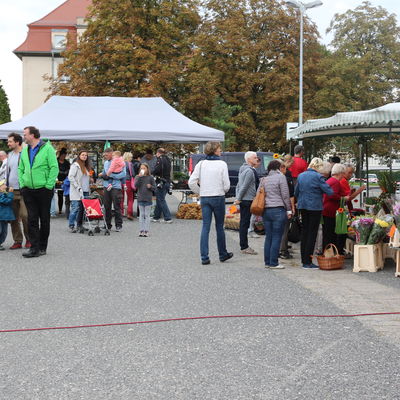 Einen regelmäßigen Wochenmarkt gibt es bereits seit 2017 jeden 2. und 4. Sonnabend im Monat auf dem Neumarkt  - und nun auch jeden Mittwoch in Freital Zauckerode.